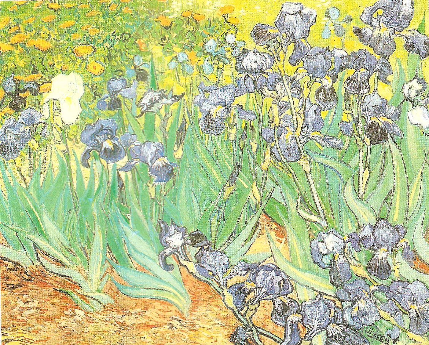 iris- van gogh